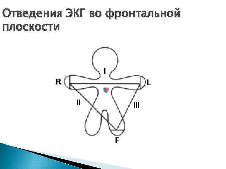 Отведения ЭКГ во фронтальной плоскости 