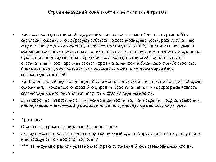 Строение задней конечности и ее типичные травмы • • • Блок сезамовидных костей другая