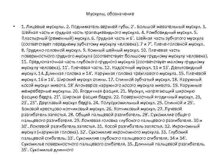 Мускулы, обозначение • 1. Лицевые мускулы. 2. Подниматель верхней губы. 2'. Большой жевательный мускул.