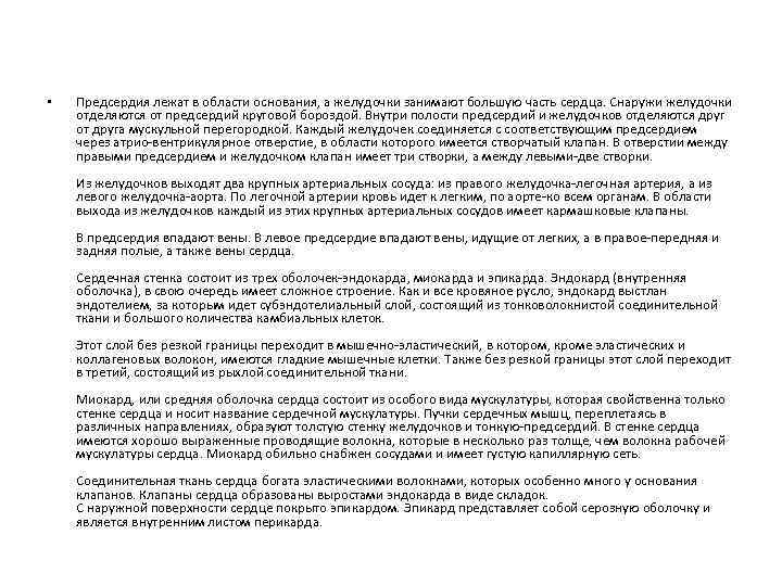  • Предсердия лежат в области основания, а желудочки занимают большую часть сердца. Снаружи
