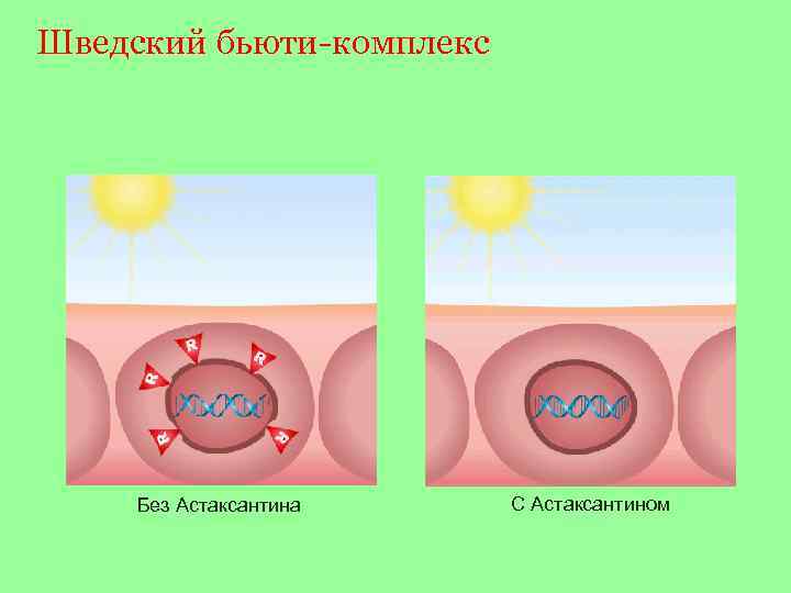 Шведский бьюти-комплекс Без Астаксантина С Астаксантином 