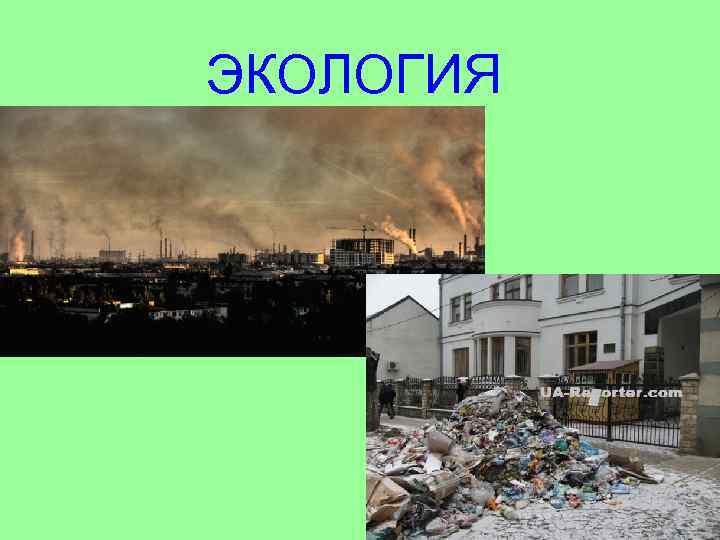 ЭКОЛОГИЯ 