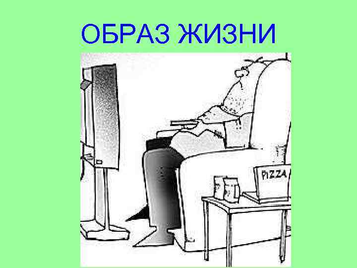 ОБРАЗ ЖИЗНИ 