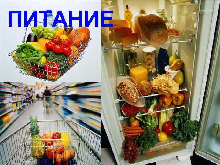 ПИТАНИЕ 