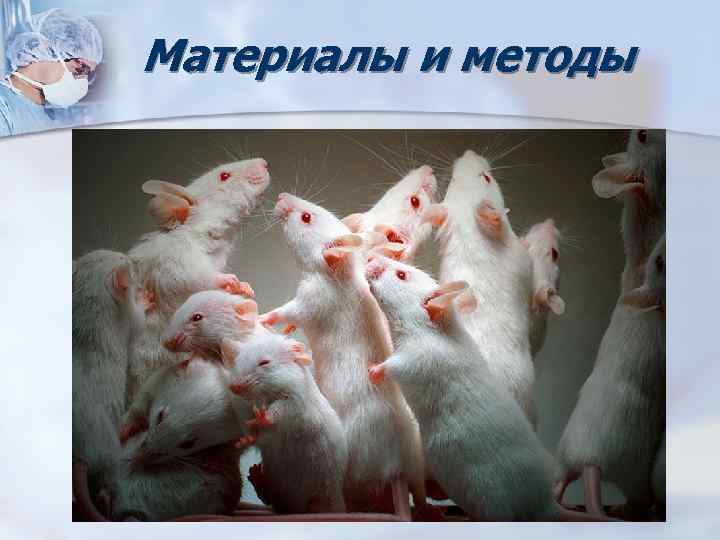 Материалы и методы 