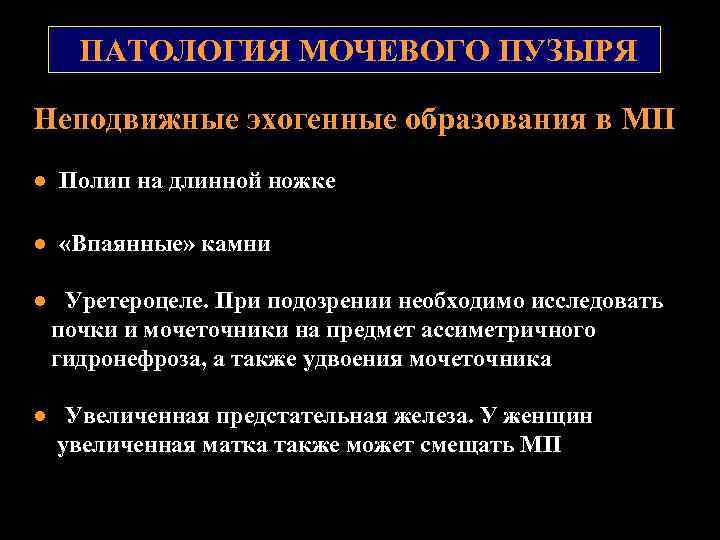 ПАТОЛОГИЯ МОЧЕВОГО ПУЗЫРЯ Неподвижные эхогенные образования в МП ● Полип на длинной ножке ●