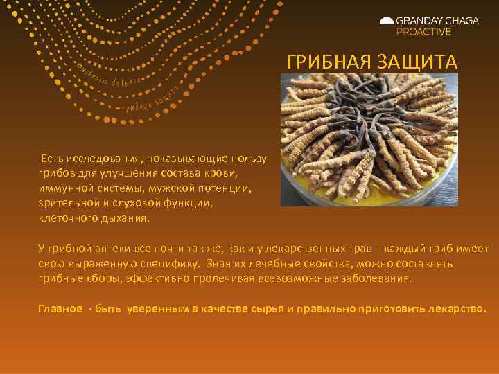 ГРИБНАЯ ЗАЩИТА Есть исследования, показывающие пользу грибов для улучшения состава крови, иммунной системы, мужской