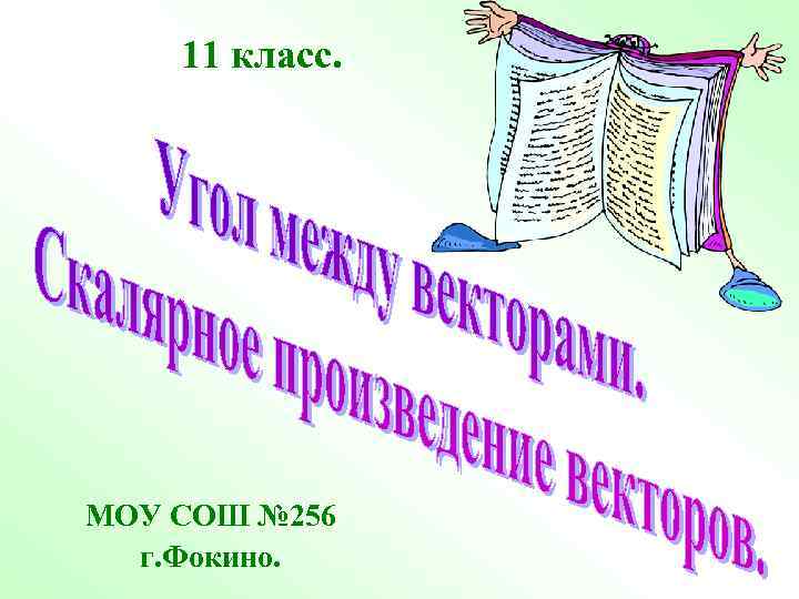 11 класс. МОУ СОШ № 256 г. Фокино. 
