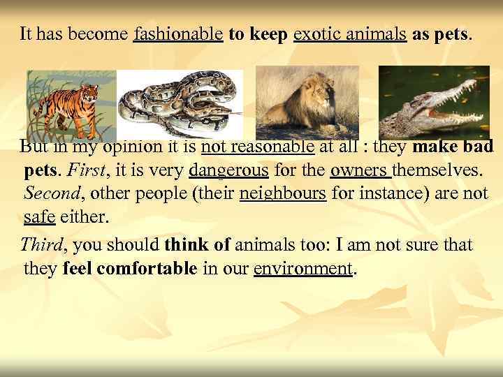 It has become fashionable to keep exotic animals as pets. But in my opinion