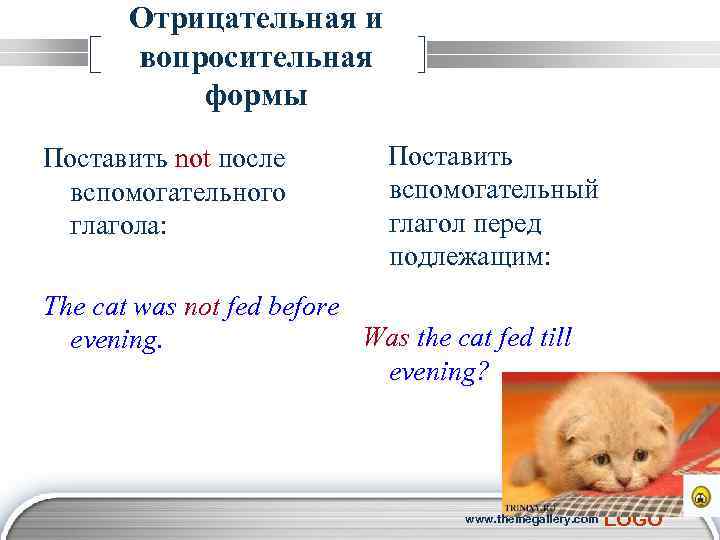 Отрицательная и вопросительная формы Поставить not после вспомогательного глагола: Поставить вспомогательный глагол перед подлежащим: