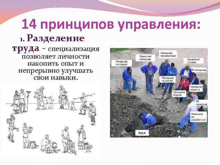 14 принципов управления: 1. Разделение труда - специализация позволяет личности накопить опыт и непрерывно