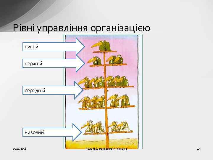 Рівні управління організацією вищій верхній середній низовий 09. 02. 2018 Чала Н. Д. менеджмент,