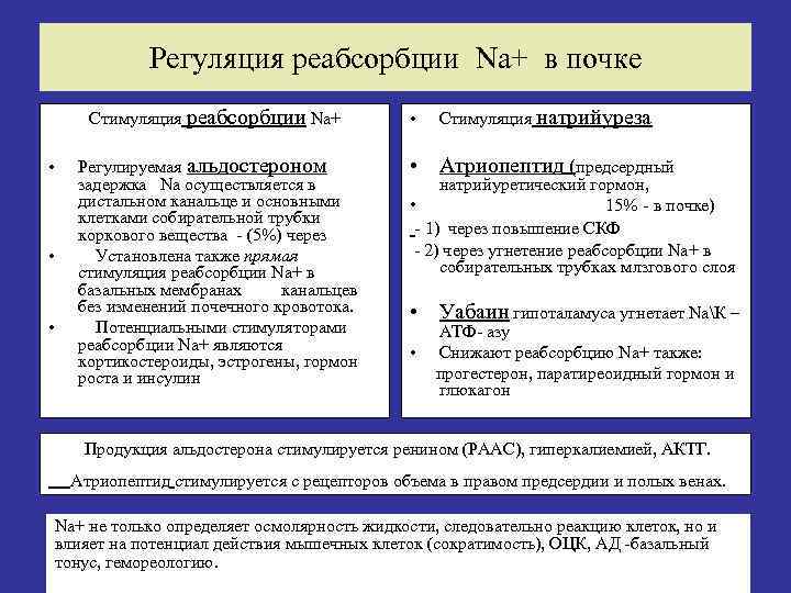 Регуляция реабсорбции Na+ в почке Стимуляция реабсорбции Na+ • • • Регулируемая альдостероном задержка