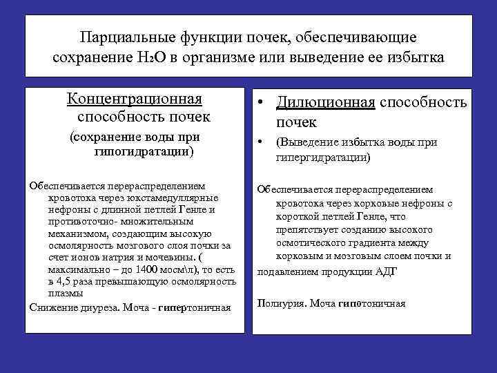 Парциальные функции почек, обеспечивающие сохранение Н 2 О в организме или выведение ее избытка