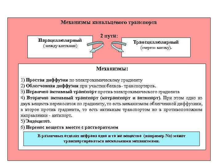 Механизмы канальцевого транспорта Парацеллюлярный 2 пути: Трансцеллюлярный ( между клетками) ( «через» клетку). Механизмы: