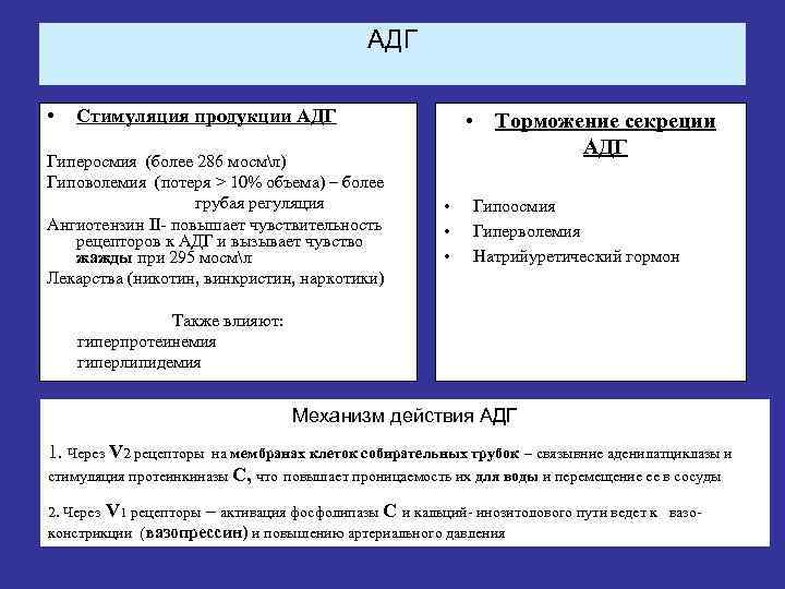 АДГ • Стимуляция продукции АДГ Гиперосмия (более 286 мосмл) Гиповолемия (потеря > 10% объема)