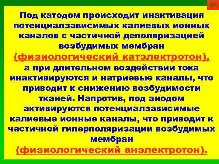 16 Под катодом происходит инактивация потенциалзависимых калиевых ионных каналов с частичной деполяризацией возбудимых мембран