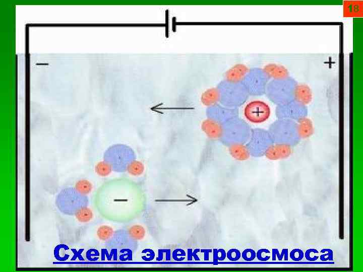 18 Схема электроосмоса 