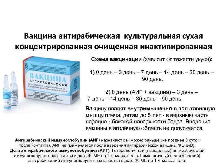 Вакцина антирабическая культуральная сухая концентрированная очищенная инактивированная Схема вакцинации (зависит от тяжести укуса): 1)