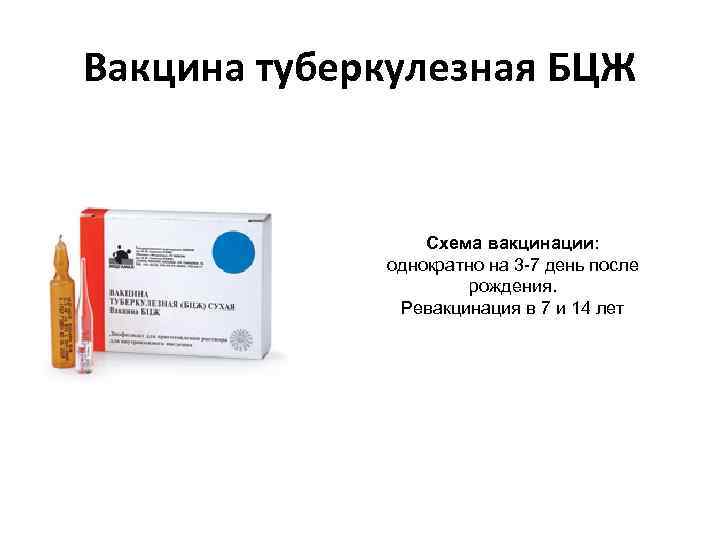 Вакцина туберкулезная БЦЖ Схема вакцинации: однократно на 3 -7 день после рождения. Ревакцинация в