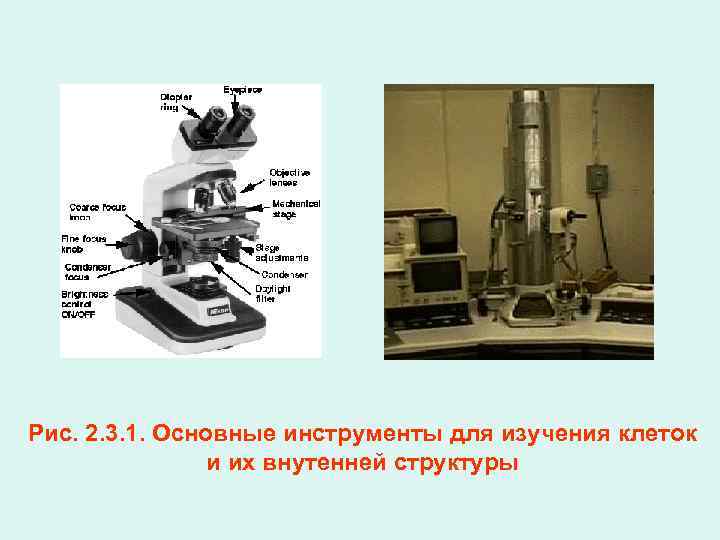 Рис. 2. 3. 1. Основные инструменты для изучения клеток и их внутенней структуры 