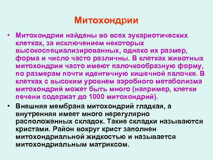 Митохондрии • Митохондрии найдены во всех эукариотических клетках, за исключением некоторых высокоспециализированных, однако их