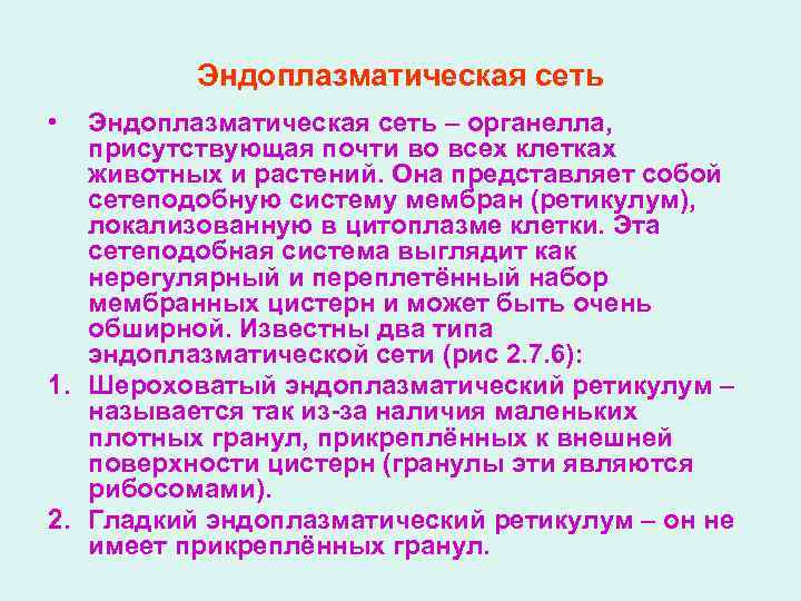 Эндоплазматическая сеть • Эндоплазматическая сеть – органелла, присутствующая почти во всех клетках животных и