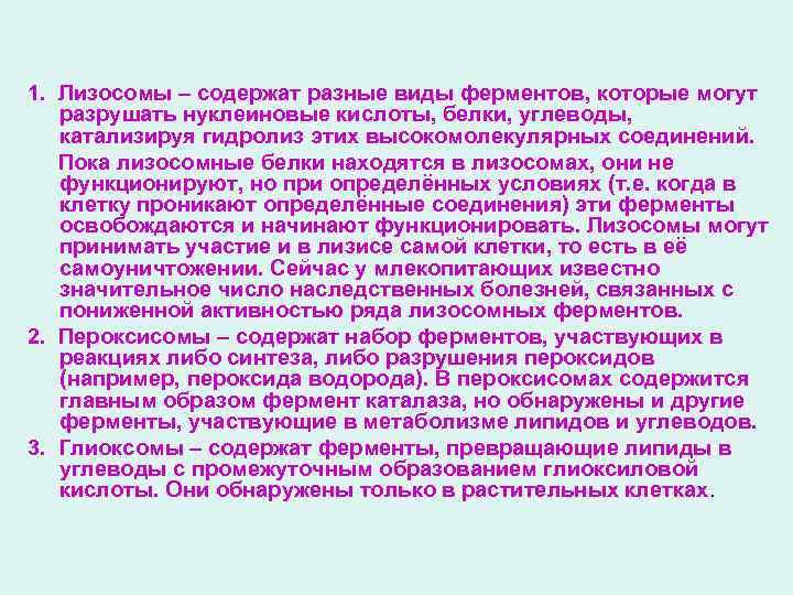 1. Лизосомы – содержат разные виды ферментов, которые могут разрушать нуклеиновые кислоты, белки, углеводы,