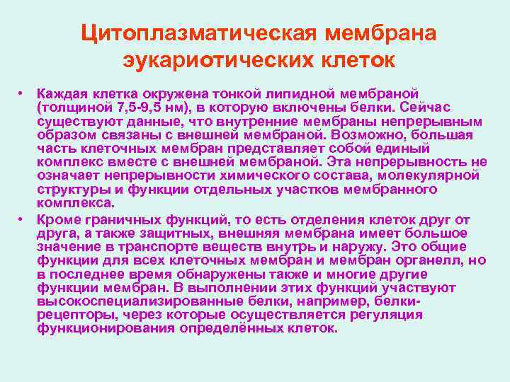 Цитоплазматическая мембрана эукариотических клеток • Каждая клетка окружена тонкой липидной мембраной (толщиной 7, 5