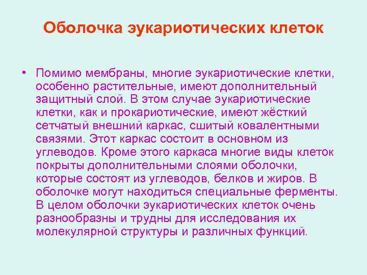 Оболочка эукариотических клеток • Помимо мембраны, многие эукариотические клетки, особенно растительные, имеют дополнительный защитный