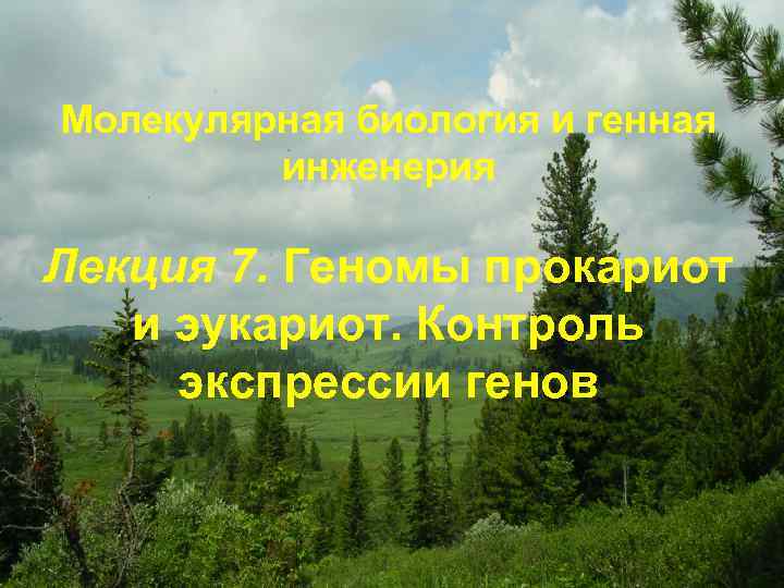 Молекулярная биология и генная инженерия Лекция 7. Геномы прокариот и эукариот. Контроль экспрессии генов