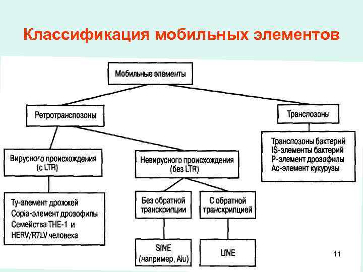 Классификация мобильных элементов 11 