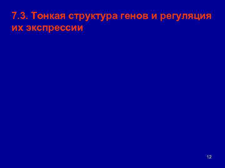 7. 3. Тонкая структура генов и регуляция их экспрессии 12 