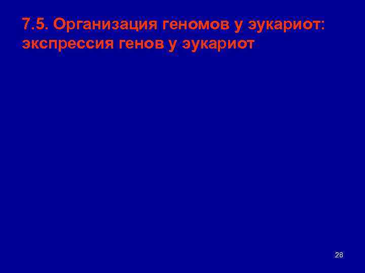 7. 5. Организация геномов у эукариот: экспрессия генов у эукариот 28 