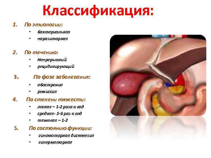 Классификация: 1. По этиологии: • • 2. По течению: • • 3. обострение ремиссия