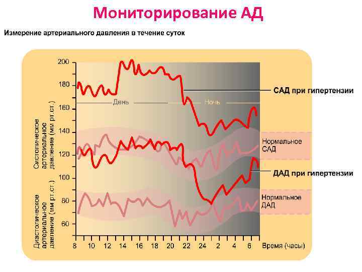 Мониторирование АД 