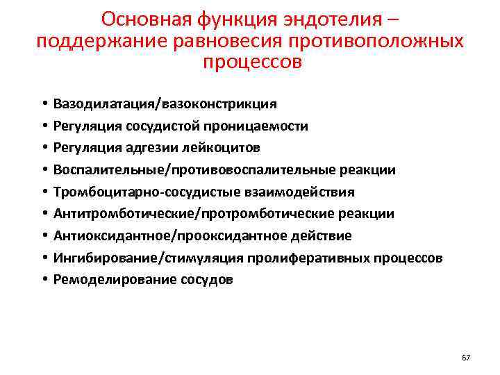 Основная функция эндотелия – поддержание равновесия противоположных процессов • • • Вазодилатация/вазоконстрикция Регуляция сосудистой