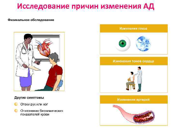 Исследование причин изменения АД 