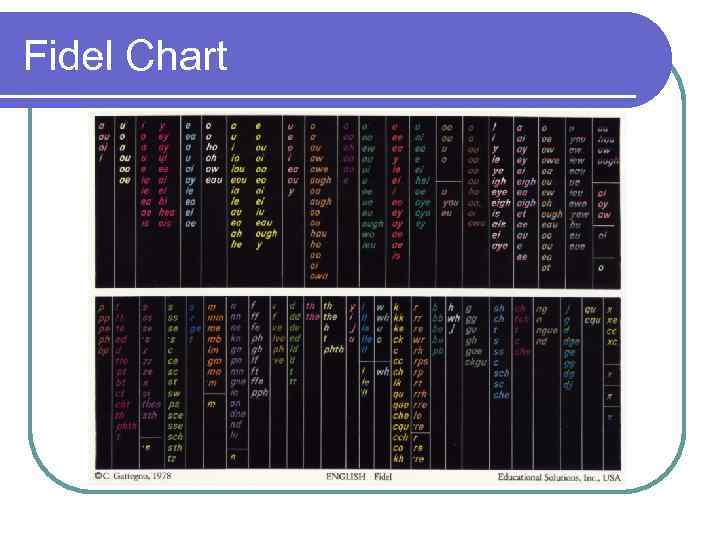 Fidel Chart 