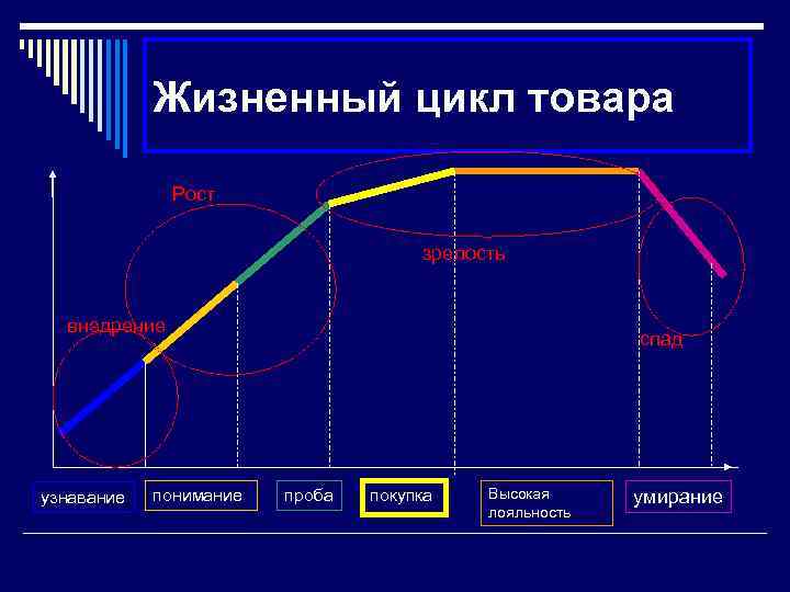 Жизненный цикл товара Рост зрелость внедрение узнавание понимание спад проба покупка Высокая лояльность умирание