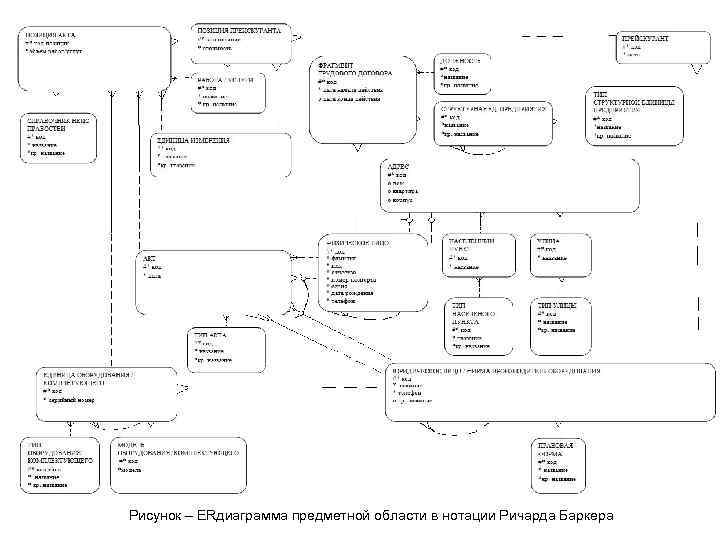 Рисунок – ERдиаграмма предметной области в нотации Ричарда Баркера 