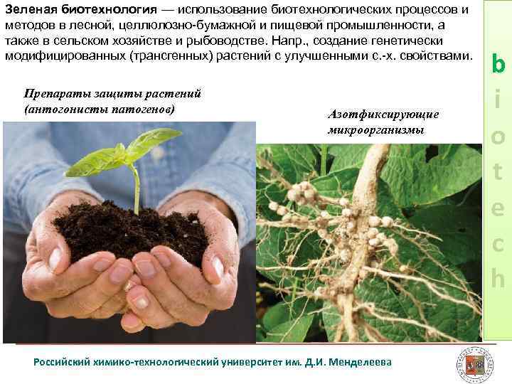 Зеленая биотехнология — использование биотехнологических процессов и методов в лесной, целлюлозно бумажной и пищевой