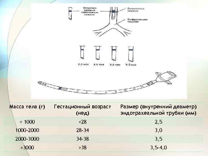 Масса тела (г) Гестационный возраст (нед) Размер (внутренний деаметр) эндотрахеальной трубки (мм) < 1000