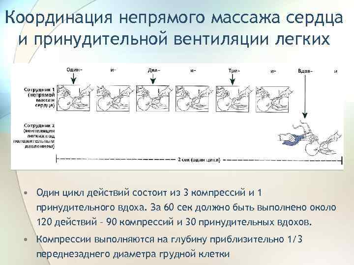 Координация непрямого массажа сердца и принудительной вентиляции легких • Один цикл действий состоит из