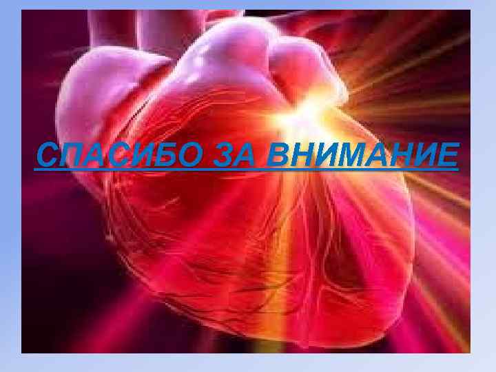 СПАСИБО ЗА ВНИМАНИЕ 