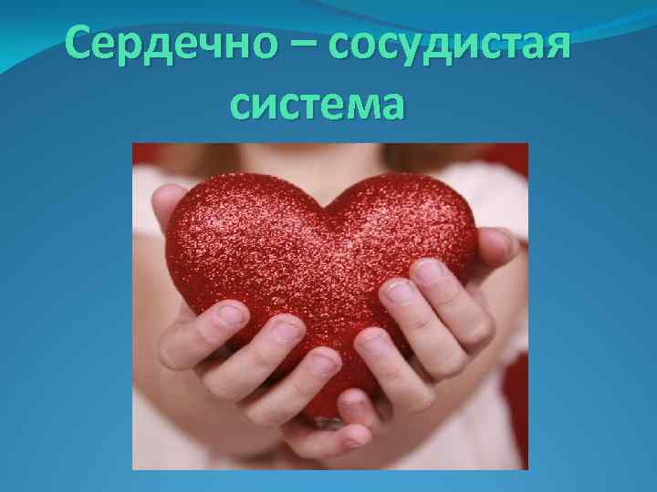 Сердечно – сосудистая система 