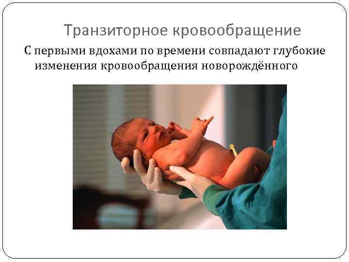 Состояние новорожденности. Пограничные состояния новорожденных. Транзиторное кровообращение. Физиологические транзиторные состояния новорожденных. Транзиторное кровообращение. Патологические состояния новорожденных.