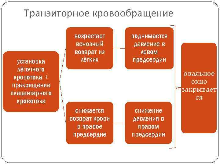 Транзиторные состояния новорожденных презентация