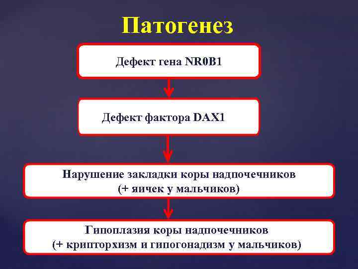 Патогенез Дефект гена NR 0 B 1 Дефект. Da фактора DAX 1 Нарушение закладки