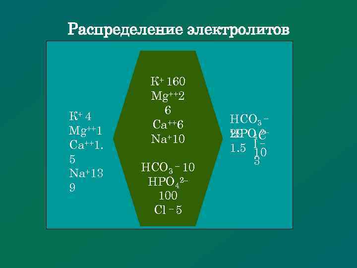 Распределение электролитов К+ 4 Mg++1 Ca++1. 5 Na+13 9 К+ 160 Mg++2 6 Ca++6